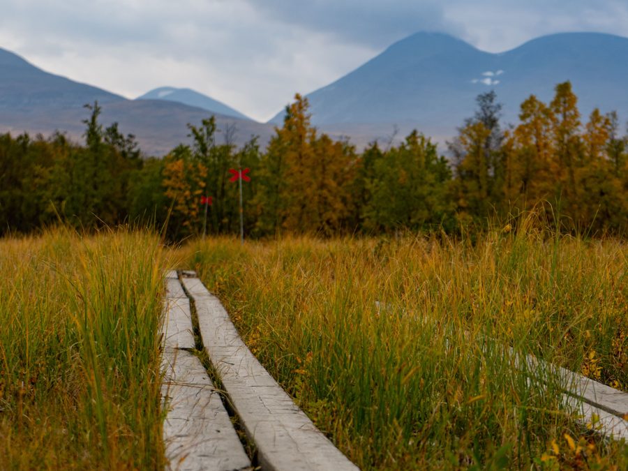 Wooden boardwalk across a Nordic marsh towards the fells